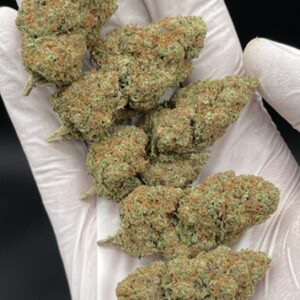 Girl Scout Cookie “Hidropónica” 3.5 GR